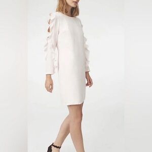 Club Monaco Soft Pink Ruffle Sleeve Dress